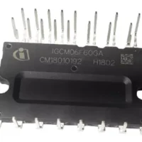 IGCM06F60GA