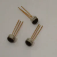 BF244