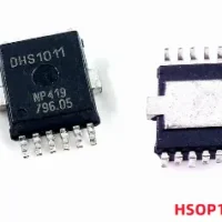 DHS1011