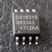 DS1821S